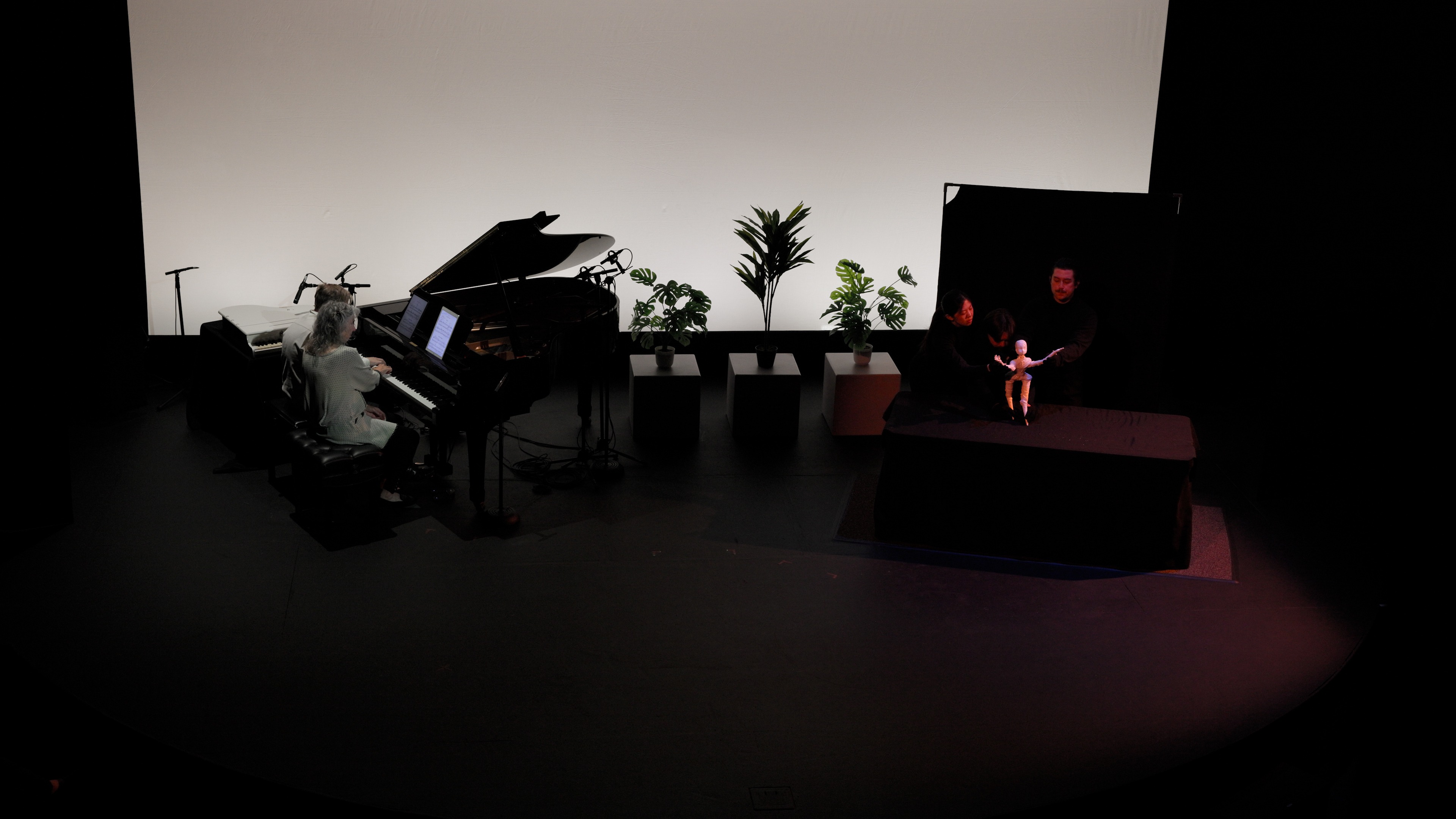 The Satie Project