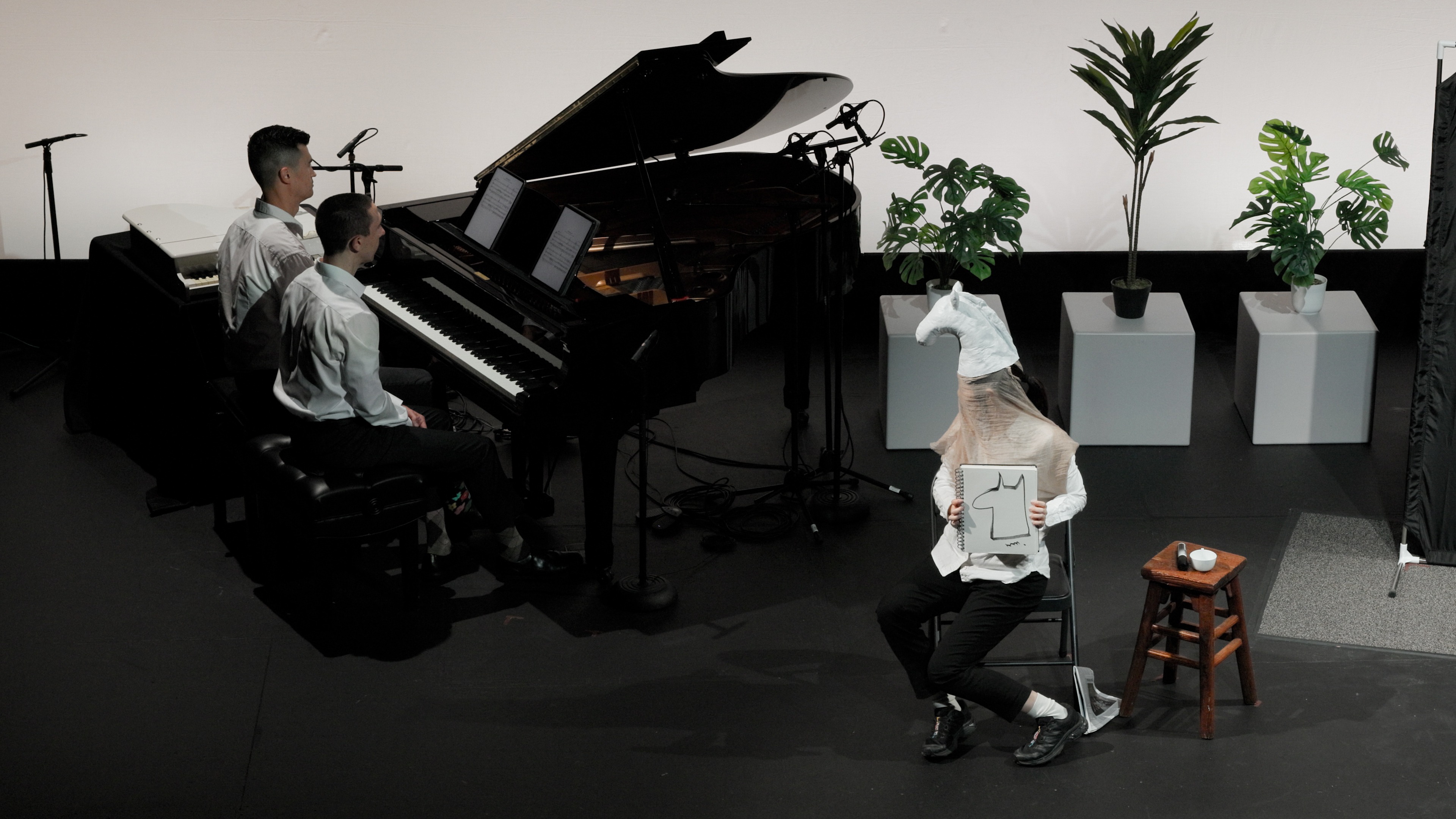 The Satie Project