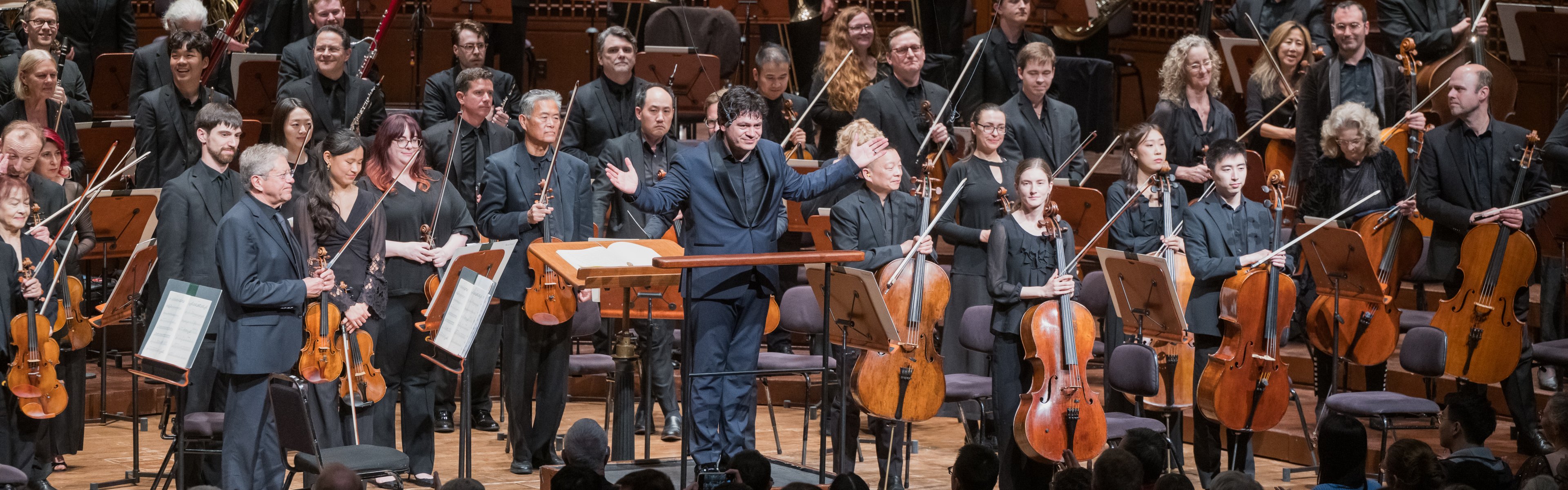 SF Symphony Bows