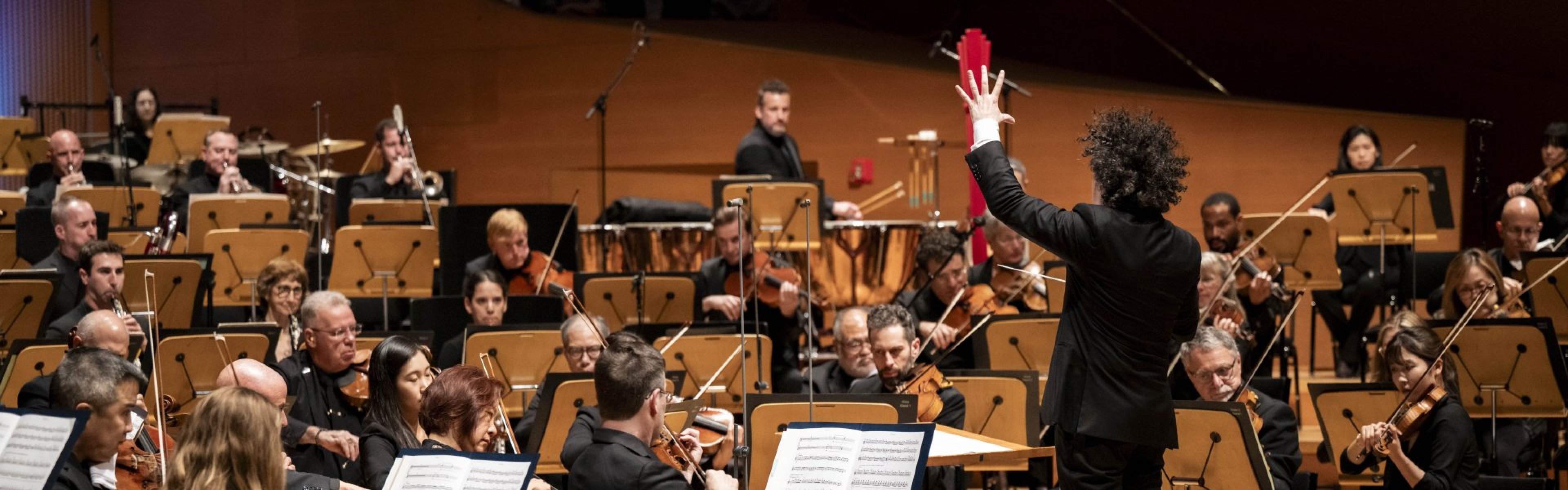 Gustavo Dudamel, LA Philharmonic
