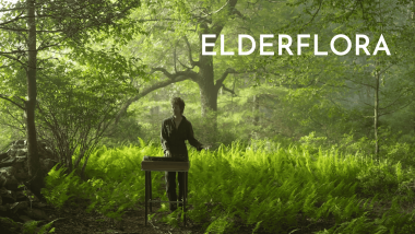 Elderflora, created by Mahel Connery and presented with The Bowerbird Collective