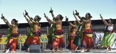 30th Anniversary Bay Area Aloha Festival