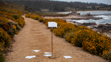 A music stand stands in the middle of a path above the beach, with orange flowers bordering the path.