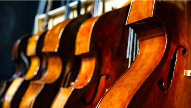 A row of violas.