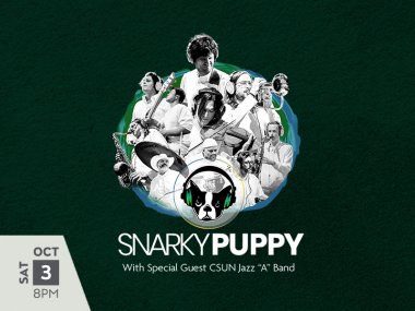 Snarky Puppy 