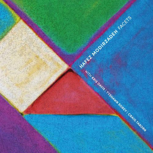 Hafez Modirzadeh - facets