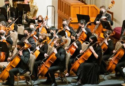 YPSO cellos