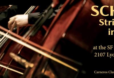 Schubert String Quintet in C Major "Cello" 