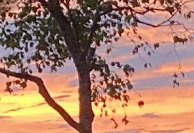 Sunset / Sunrise