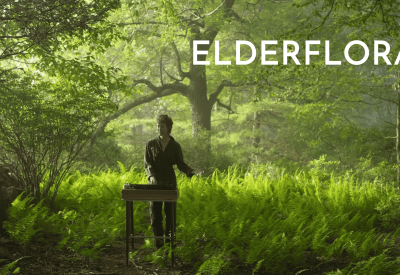 Elderflora, created by Mahel Connery and presented with The Bowerbird Collective