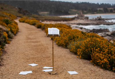 A music stand stands in the middle of a path above the beach, with orange flowers bordering the path.