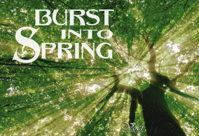 Image of sun filtering through green leaves