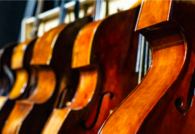 A row of violas.