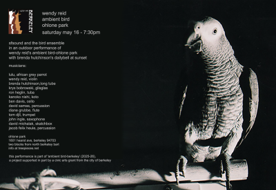 Wendy Reid's Ambient Bird - Ohlone Park with sfSOUND & Bird Ensemble, 1601 Hearst Ave, Berkeley Saturday 5/16 - 7:30pm