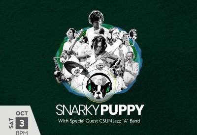 Snarky Puppy 
