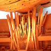 Organ
