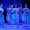 Giselle
