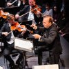 Vienna Philharmonic