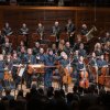 SF Symphony Bows